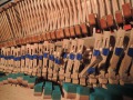 DSCN1639