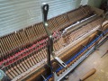DSCN1651