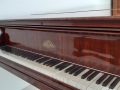 107-Liszt