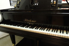 Bluethner-Fluegel