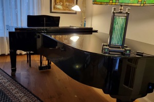 Bluethner-Modell-1