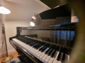 Bluethner-4