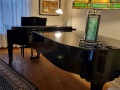 Bluethner-1