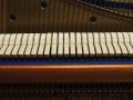 Bluethner-06