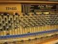 Bluethner-10