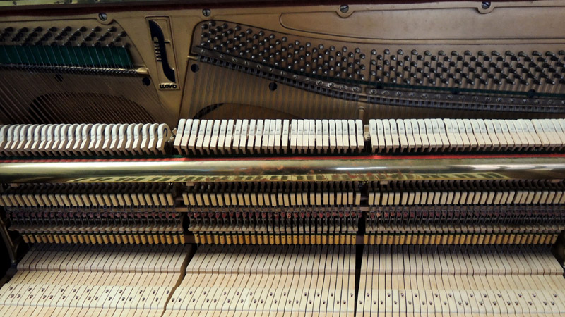BV007