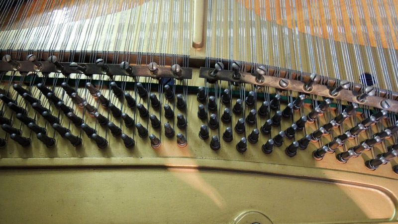 BV037