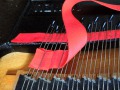 BV138.JPG