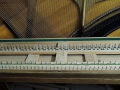 BV018