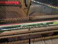 BV301.JPG