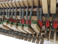 BV309.JPG