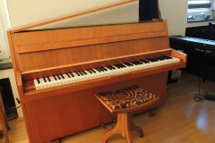 Euterpe 101 NB