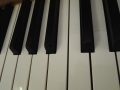 Feurich-110-nb-05