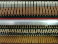 F009