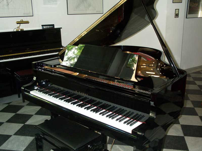 024-Kawai-Fluegel