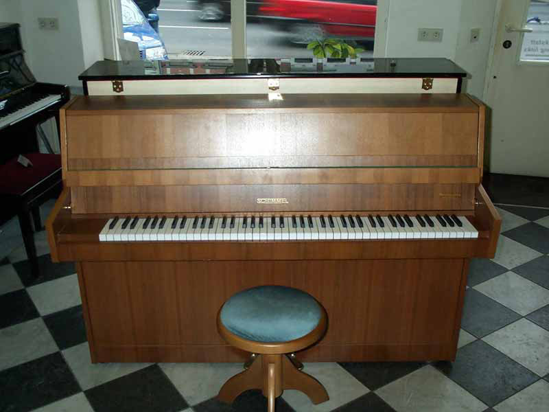 080-Schimmel