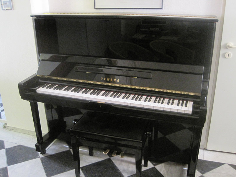 081-Yamaha-SU-131