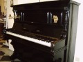 003-Ibach-OD