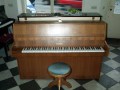080-Schimmel