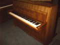 087-Steinway-F