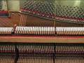 Knake-schwarz-04