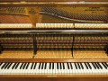 Geissler-Eiche-002
