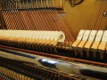 Geissler-Eiche-008