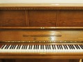 Geissler-Eiche-004