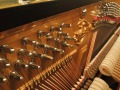 Geissler-04