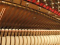 Geissler-06