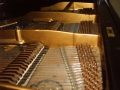 IMG00008