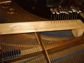 IMG00014