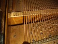 IMG00016