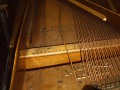 IMG00017
