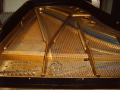 IMG00020