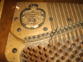 IMG00021