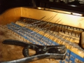 IMG00027