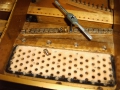 IMG00041