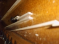 IMG00053