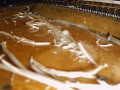 IMG00057