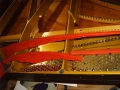 IMG00081