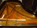 IMG00082
