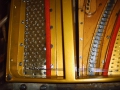 IMG00087