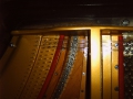 IMG00088