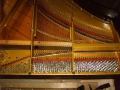 IMG00094