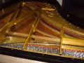 IMG00099