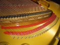 IMG00104
