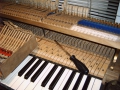 IMG00114