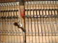 IMG00120