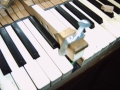 IMG00126
